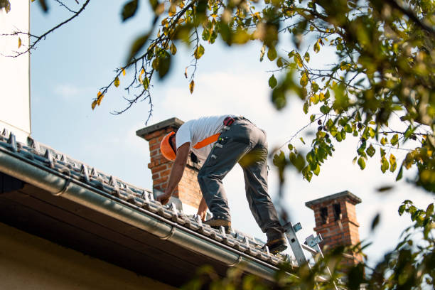 Quick and Trustworthy Emergency Roof Repair Services in Hamilton, AL