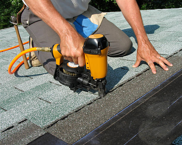 Best Roof Maintenance Services  in Hamilton, AL