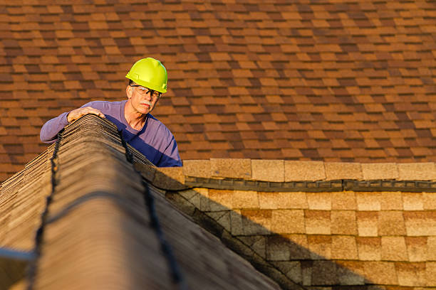 Best Roof Restoration Services  in Hamilton, AL